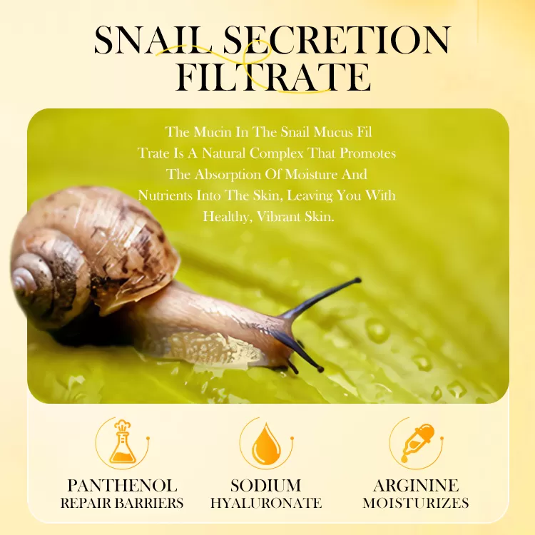 Snails Series - 图片 7